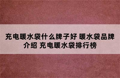 充电暖水袋什么牌子好 暖水袋品牌介绍 充电暖水袋排行榜